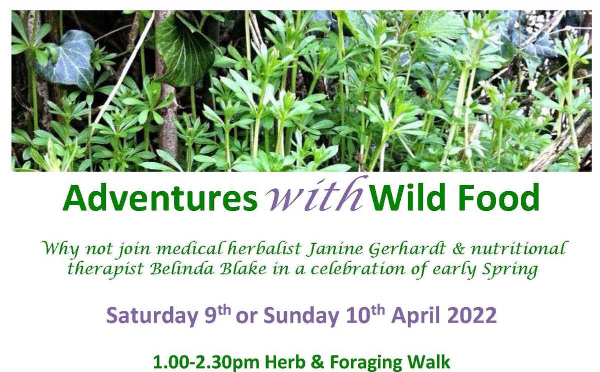 Adventures with wild food - Spring 2022